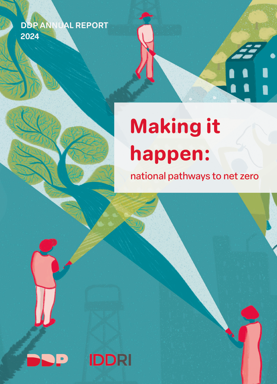 Making It Happen: National Pathways to Net Zero – A new report from the DDP national modelling community